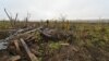 СБУ: трьох затриманих бойовиків судитимуть за держзраду, серед них – учасник штурмів Роботиного