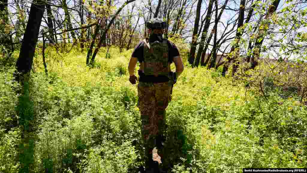 Йдемо до позицій по «зеленці», що вже вкрила посадки Донбасу 