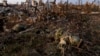 ISW закликав Захід «остерігатися самозаспокоєння» через високі російські втрати в Україні