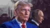 «Трамп — гиперперсоналистический президент. Остальные американские институты ему не нужны». Интервью эксперта по России Фионы Хилл