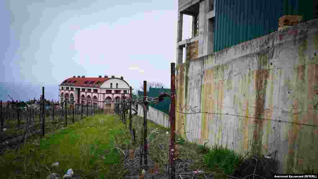 Паркан приватної забудови впритул наблизився до виноградників «Лівадії»