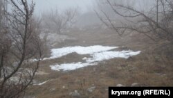 Иллюстрация сүрөт.