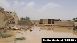 عکس له ارشیف څخه