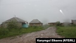 Мурас-Ордо жаңы конушу 