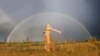 Вынікі чацьвёртага тыдня фотаконкурсу «Незалежнасьць — гэта...»