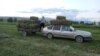 Кургакчылык кесепети: жем-чөп кымбат, мал арык