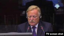 Richard Mole svjedoči na suđenju Karadžiću, 17.08.2010.