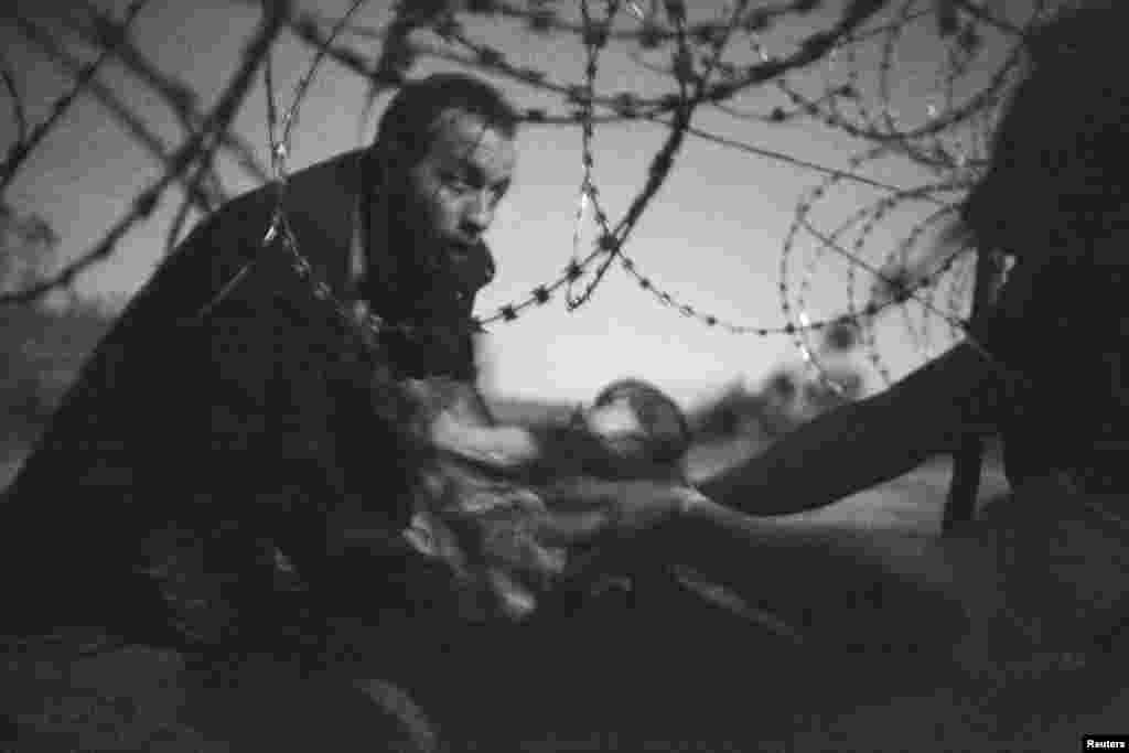 Першая прэмія ў катэгорыях "Фота году" і "Гарачыя навіны" (Уорэн Рычардсан). Мужчына перадае дзіця праз калючы дрот на сэрбска-вугорскай мяжы, 28 жніўна 2015.