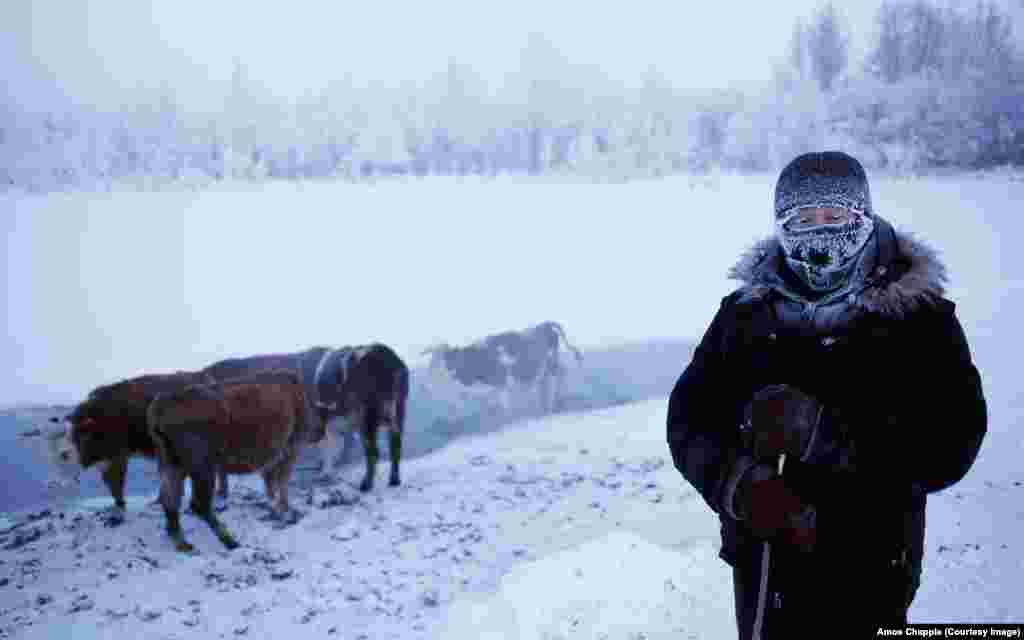 Оймякон на местном языке означает «незамерзшая вода». Этот источник воды не покрывается льдом в течение всей зимы, поэтому сюда пригоняют на водопой оленей и крупный рогатый скот.