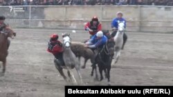 Көкбөрү.