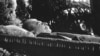 Image result for "Петручэня"