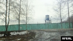 «Віцьба-3»
