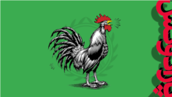 خروس بی‌محل!