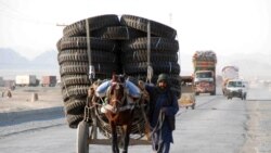 د ټرانسپورټ کاروبار کې ولې لوی شمېر د پښتنو دی؟