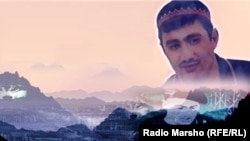 Нохчийн бард Муцураев Тимур, коллаж