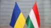 Голова МЗС Угорщини: нечесно зволікати з наданням безвізового режиму Україні