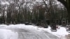 У Празі попрощалися з Олександром Олесем