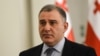 მიხეილ სარჯველაძე, პარლამენტის ადამიანის უფლებათა დაცვის კომიტეტის თავმჯდომარე 