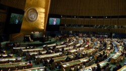 فرانسوا اولاند، رئیسجمهور فرانسه، در حال سخنرانی در مجمع عمومی سازمان ملل