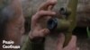 Українські військові пов’язують обстріли їхніх позицій на Донбасі з візитом делегації України до Німеччини – відео