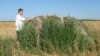 Image result for "Алесь Мікус"