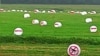 Image result for "Суднік"