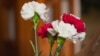 Image result for "Янушка"