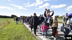 Velika skupina izbjeglica, uglavnom iz Sirije, kreće se autocestom prema sjeveru Danske, 7. septembar 2015.