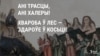 Image result for Шэйн