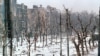 Грозный, 1 февраля 1995 г. 