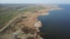 Image result for Бамбіза