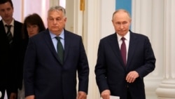 Эхо недели