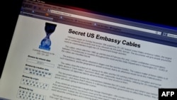 U.S. - View of the WikiLeaks homepage taken in Washington, 28Nov2010
